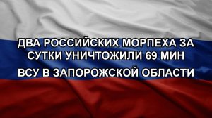 Два российских морпеха за сутки уничтожили 69 мин ВСУ в Запорожской области