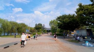 Сеул Южная Корея Прогулка по живописному парку Ханган на острове Йоидо 🌳🌊
