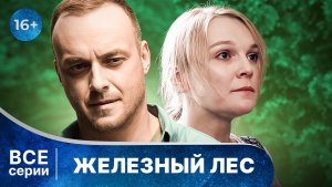 Железный лес. Детективы Анны Малышевой. Все серии с 1 по 4. Смотреть онлайн в хорошем качестве