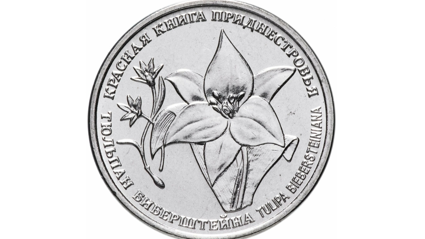 Пополнение коллекции "Красная книга" Тюльпан Биберштейна