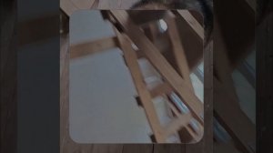 1000063382.mp4 (Собака смотрит на пвх короба для устройства вытяжной вентиляции в доме А-фрейм)