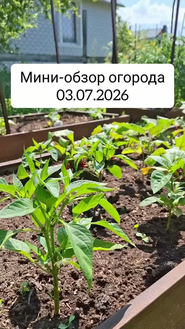 Дневники сезонов // 2023 – 2026