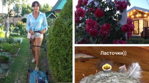 6 соток 3 июля 2026 года. Хроника.