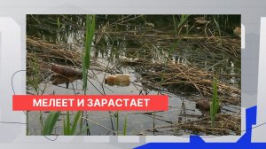 Природоохранная прокуратура подтвердила плачевное состояние Мещерского озера и работу вейк-клуба