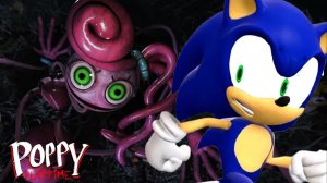 СОНИК ИГРАЕТ В ПОППИ ПЛЕЙТАЙМ ГЛАВА 2!!! 🦔😱
