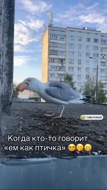 04-07-2026 смотреть онлайн
