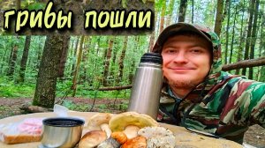 Поход в Лес 24 часа Сбор грибов и Готовка на огне
