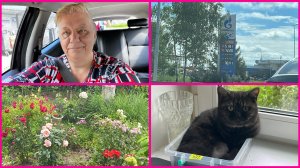 03-04.07.26 ✨ЗАПРАВИЛИ МАШИНУ ✨ ЗАВИДУЮ БЕЛОЙ ЗАВИСТЬЮ ✨