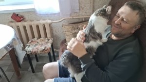 Купили маме обновки на ВБ.  Напроказничал котик.