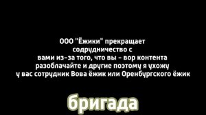 бригада видео а закрытие студии Ёжики