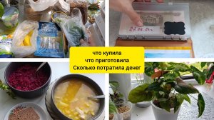 что купила🛒🛍️🛒🛍️🛒/ что приготовила🍲🍲🍲
