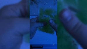 Сказочное Сияние Для Детей