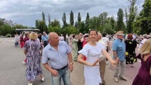 Чайка..... 04.07.26.