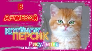 КОТЁНОК ПЕРСИК в душевой