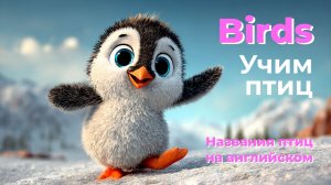 Английский детям: учим птиц на английском 🦜 🦉 🐧