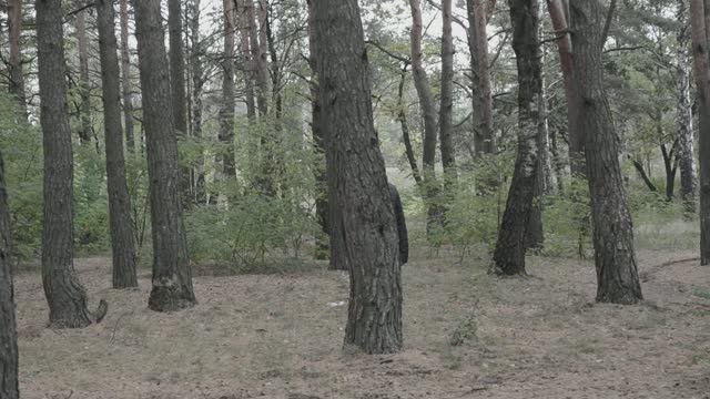 Done Potates Батьки смотреть онлайн