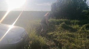 За ТРАВОЙ 🌿. Вот такие Пиксики🐕 Отзыв от подписчицы удивил.
