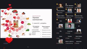 О продуктах Фитлайн подробно, Г.Н. Костина (май 2026)