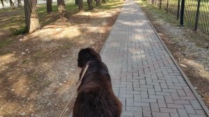 Болтаю/Покупки продуктов