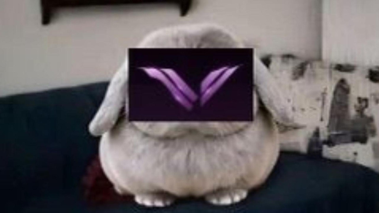 Velkadlc Guide Autobuy
