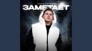 Заметает