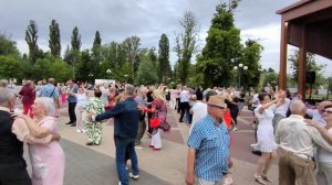 Тополинный пух..... 04.07.26.