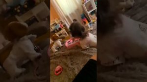 Музыкальная пауза