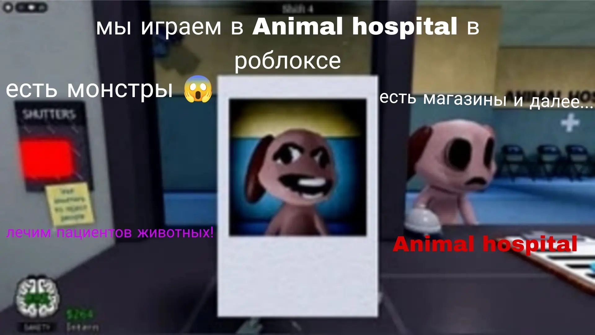 😱Я играю в animal hospital в роблоксе без раиса|#роблокс #roblox #99ночейвлесу|роблокс,roblox смотреть онлайн