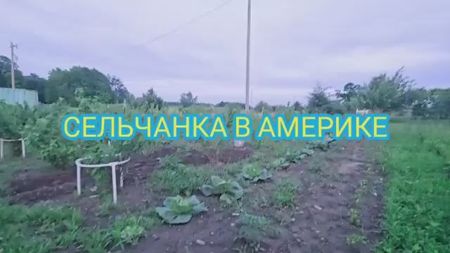 Сельчанка в Америке САПАЮ НОЧЬЮ ОГОРОД