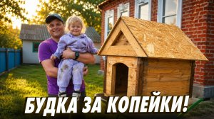 Сделал будку для собаки из ящика и подручных материалов. Обещал теще