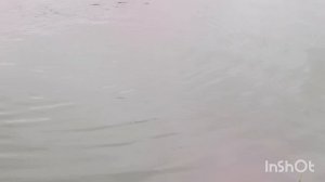 1000157020.mp4