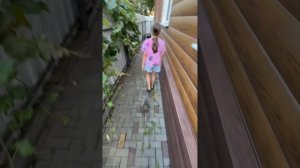 Тайная жизни домашних питомцев в ряльной жизни /вика яжевика @