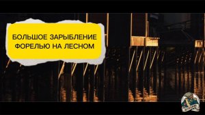 БОЛЬШОЕ ЗАРЫБЛЕНИЕ ФОРЕЛЬЮ В СУББОТУ 4 июля