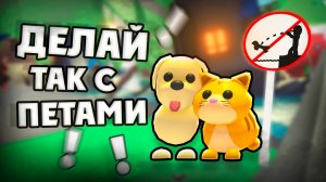 📌ВСЁ, что НУЖНО ЗНАТЬ о ПИТОМЦАХ в АДОПТ МИ! 🤯 Roblox Adopt me