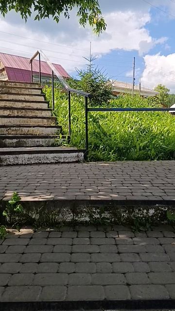 1000056179.mp4 смотреть онлайн