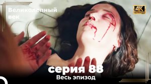 Великолепный век 88. Секция (4К)