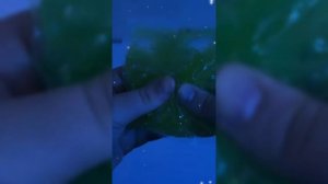 Сверкающий Мир За 60 Секунд