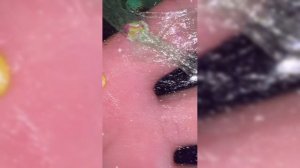 Развивашка Слайм Угадай Фрукт Смотри До Конца
