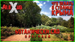 Что делать в Столице Крыма / Симферополь / Ботанический сад