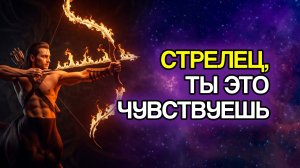 В 2026 году у Стрельца могут появиться возможности… и ты это почувствуешь