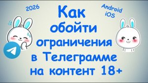 Как убрать ограничения на контент 18+ в Телеграмме ? - Android / iOS