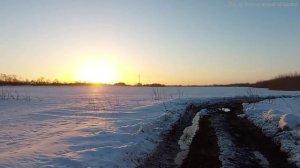 Весна близко. Воронежская область, Новоусманский район. 21 марта 2022г
