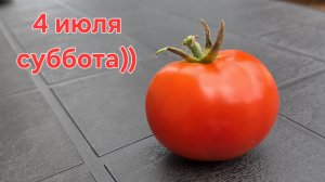 Дебри в теплице))🙄 Суббота вчетвером🥣#влог