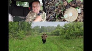 Вечер в деревне .Едем за грибами в лес.Сырые грузди