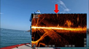 Настраиваем «плюх». Panoptix Livescope and Active Target.