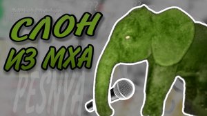 СЛОН ИЗ МХА | ПЕСНЯ по KTOTAKOПС