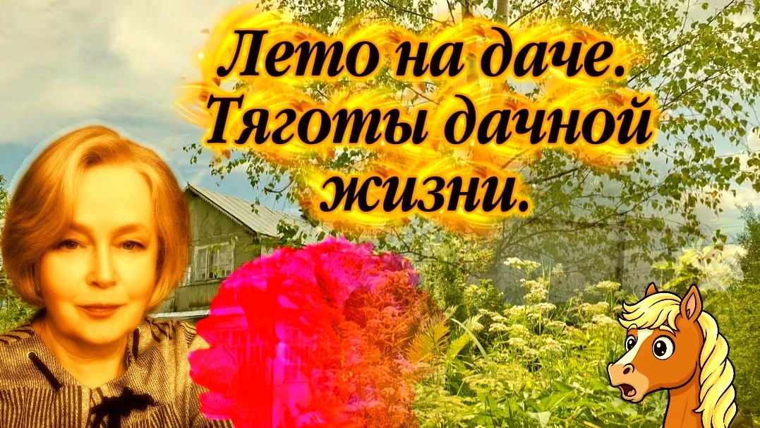 05-07-2026 Лето на даче.Тяготы дачной жизни.