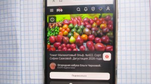 Как найти НОВИНКИ ТОМАТОВ 2026 года в каталоге ОГОРОДНАЯ АЗБУКА ОЛЬГИ ЧЕРНОВОЙ