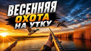 Охота на утку 2026! Открытие весенней охоты на водоплавающую дичь.
