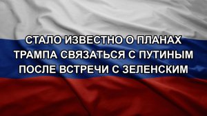 Стало известно о планах Трампа связаться с Путиным после встречи с Зеленским